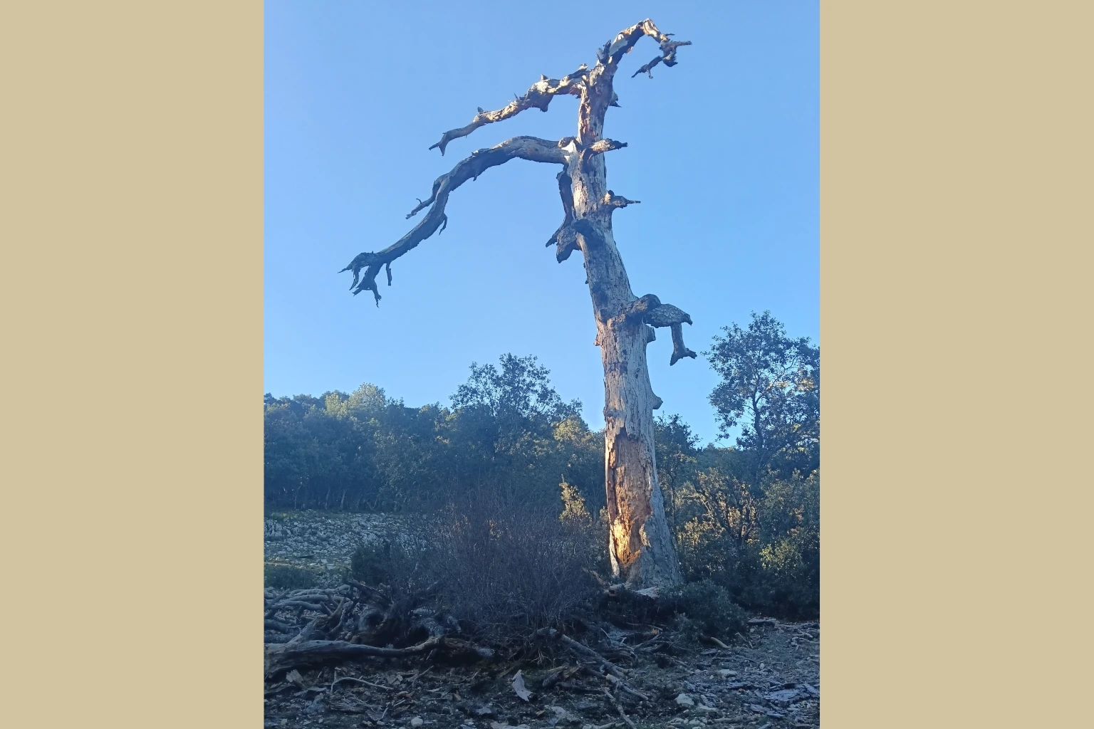 galeria2_arenal_chorros