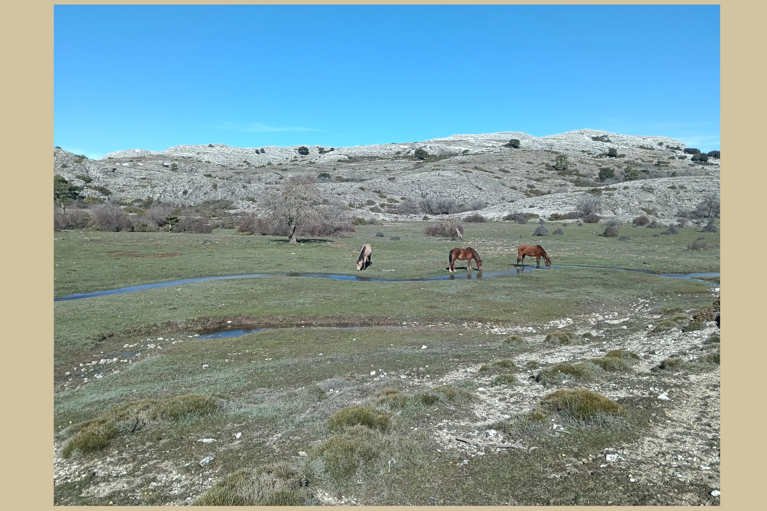 galeria6_arenal_chorros