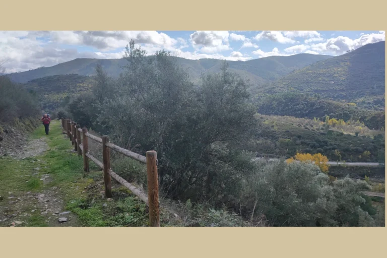 Montes