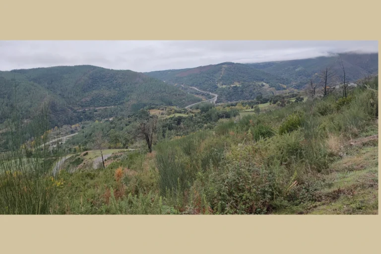 galeria5_cdsiv_etapa4