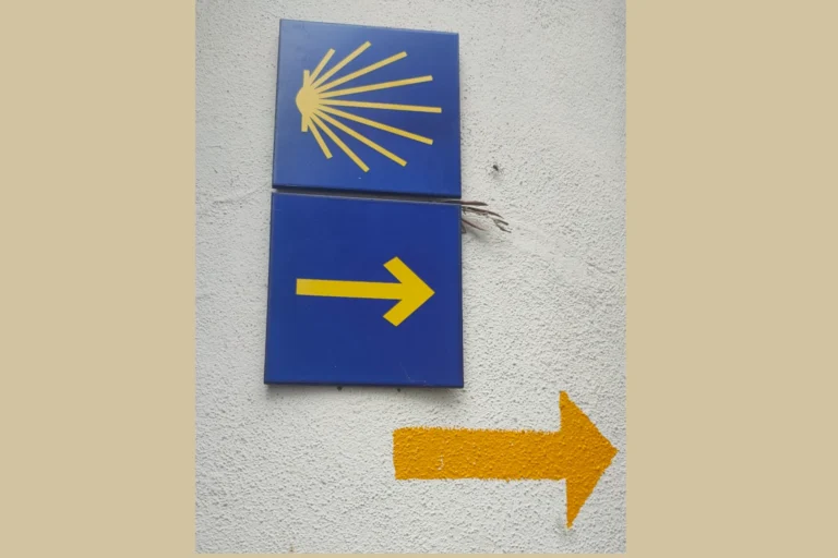 galeria6_cdsiv_etapa5