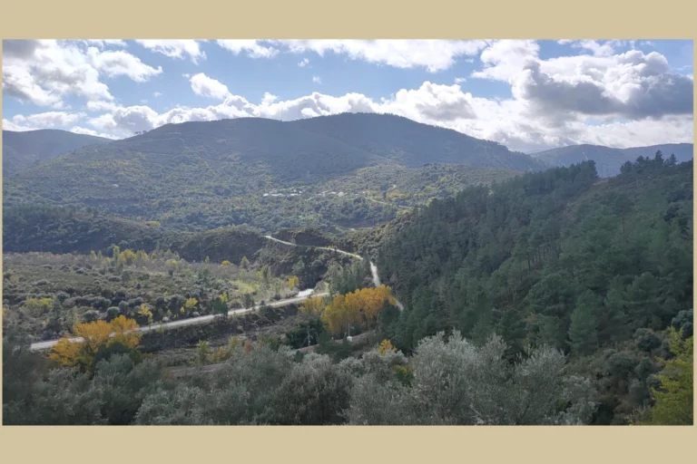 Montes