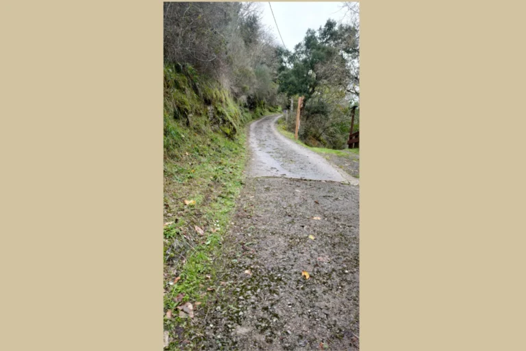 galeria7_cdsiv_etapa4