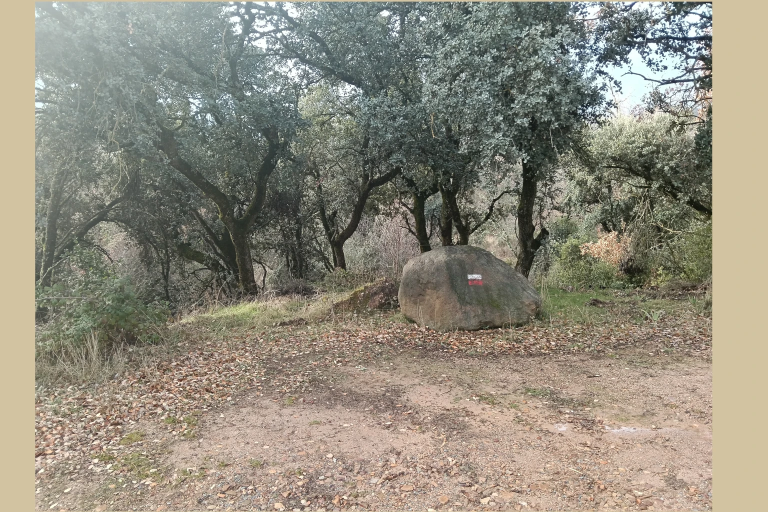 Chupadero Valdehierro Madridejos