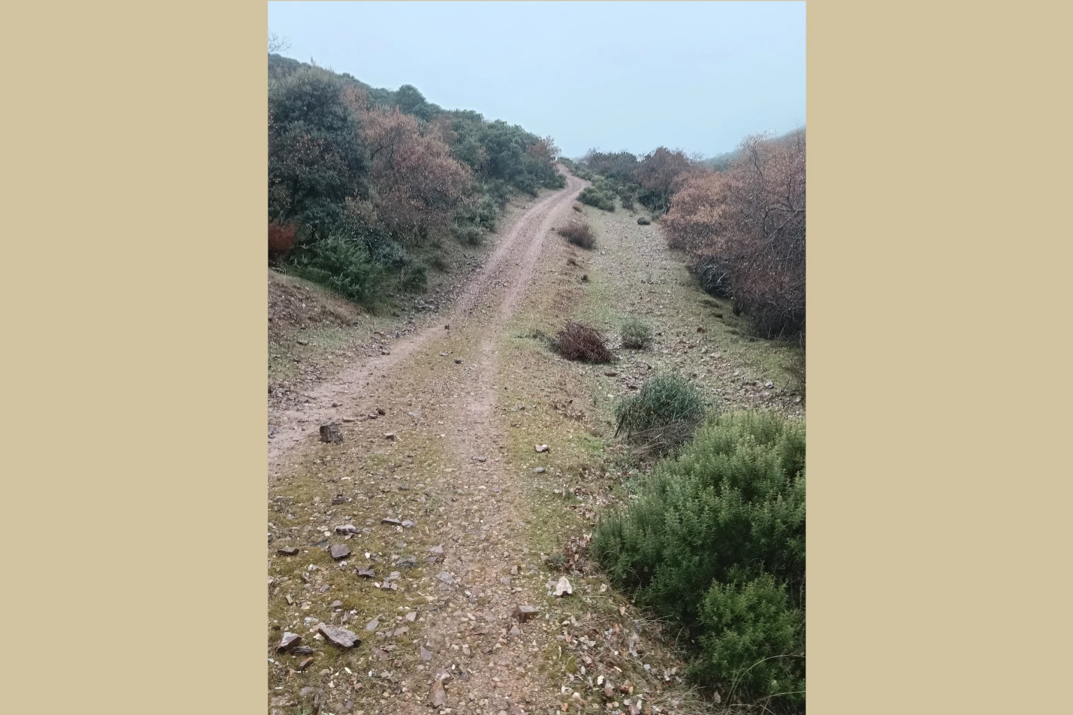 Chupadero Valdehierro Madridejos