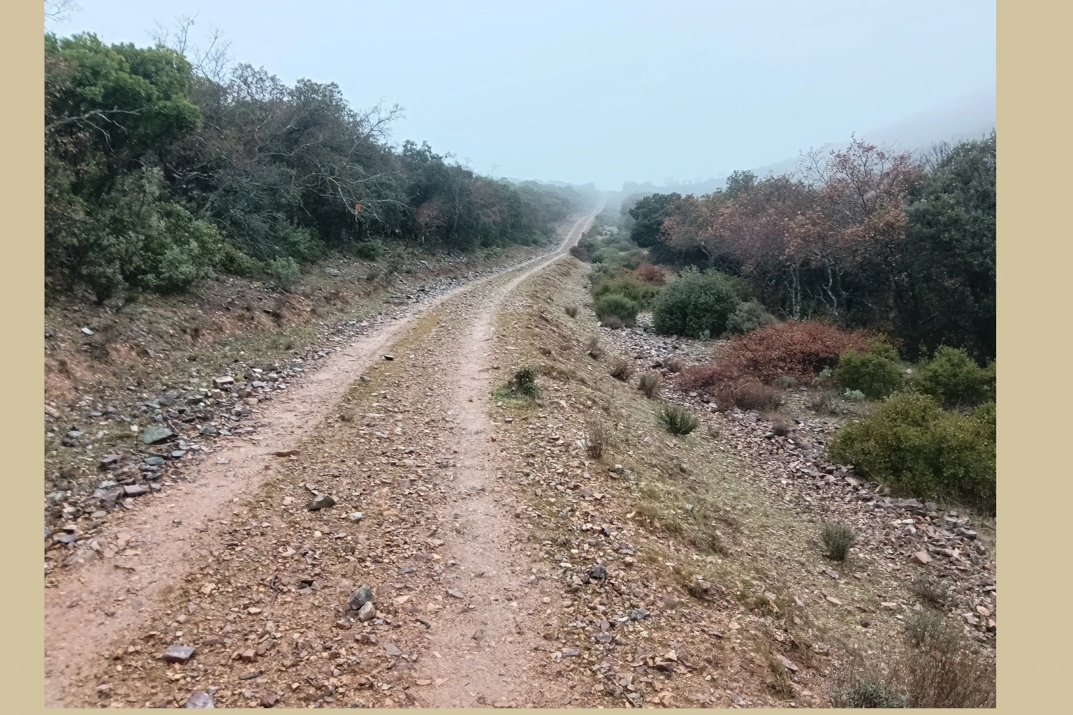 Chupadero Valdehierro Madridejos