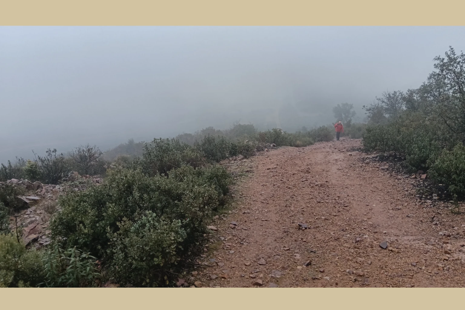 Chupadero Valdehierro Madridejos