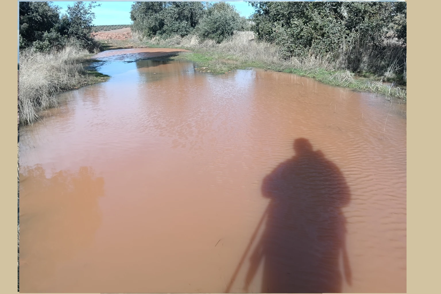 galeria10_hitosorgaz