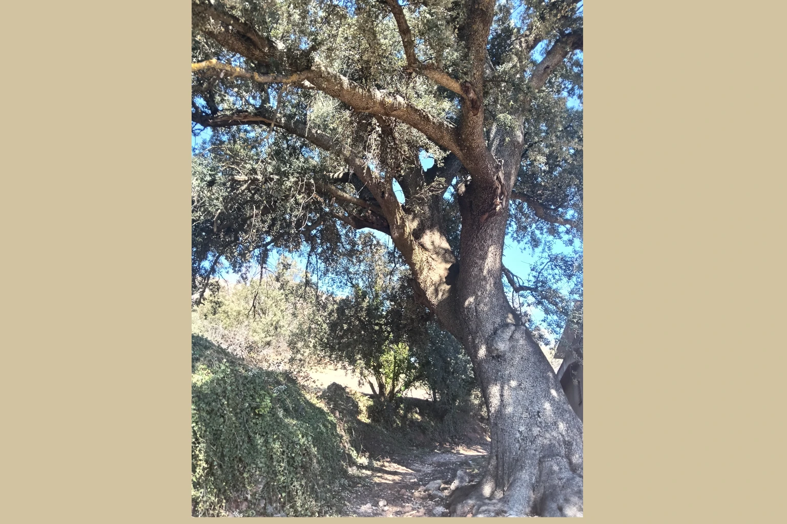 Riópar - Riópar Viejo