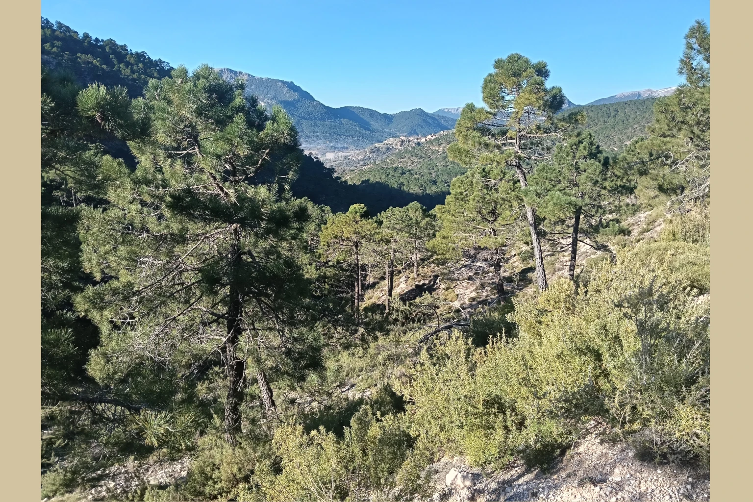 Riópar - Riópar Viejo