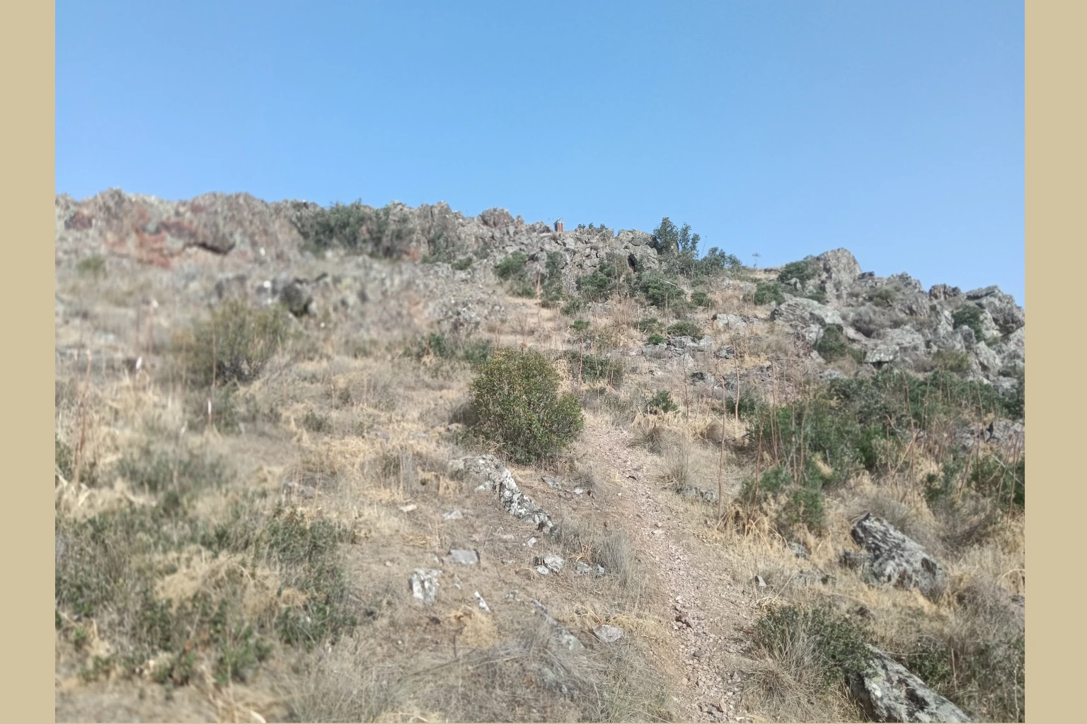 El Vasto Madridejos