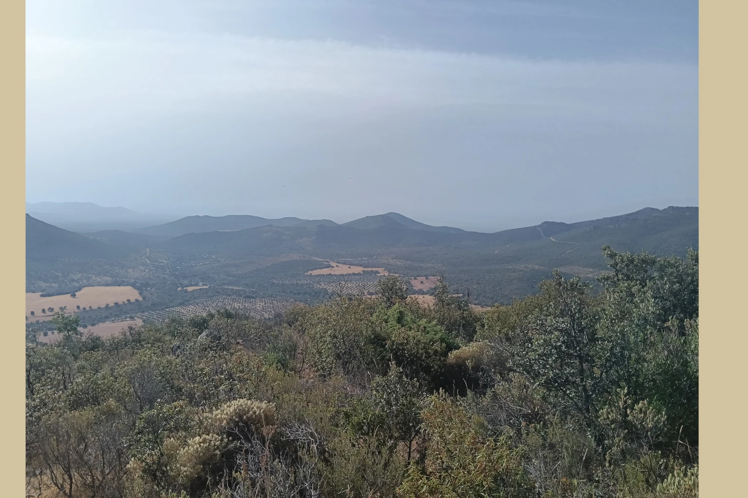 El Vasto Madridejos