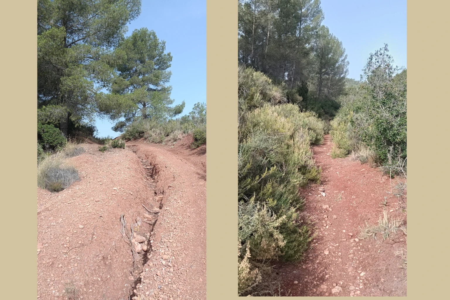 Calderones y Rambla Salá