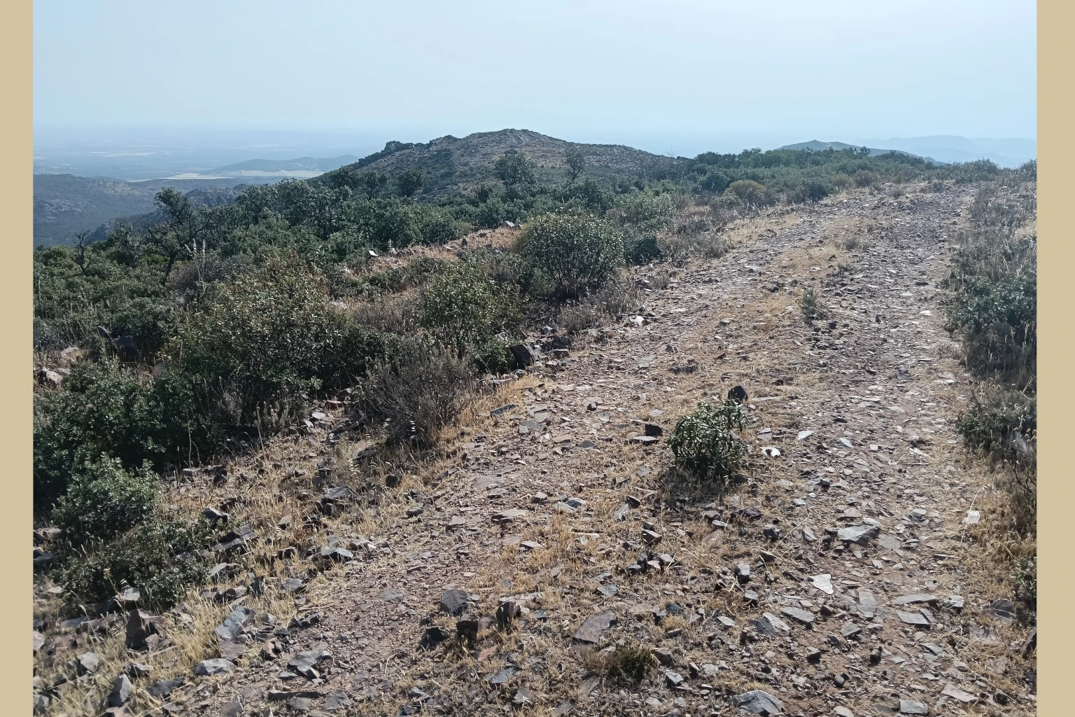 El Vasto Madridejos