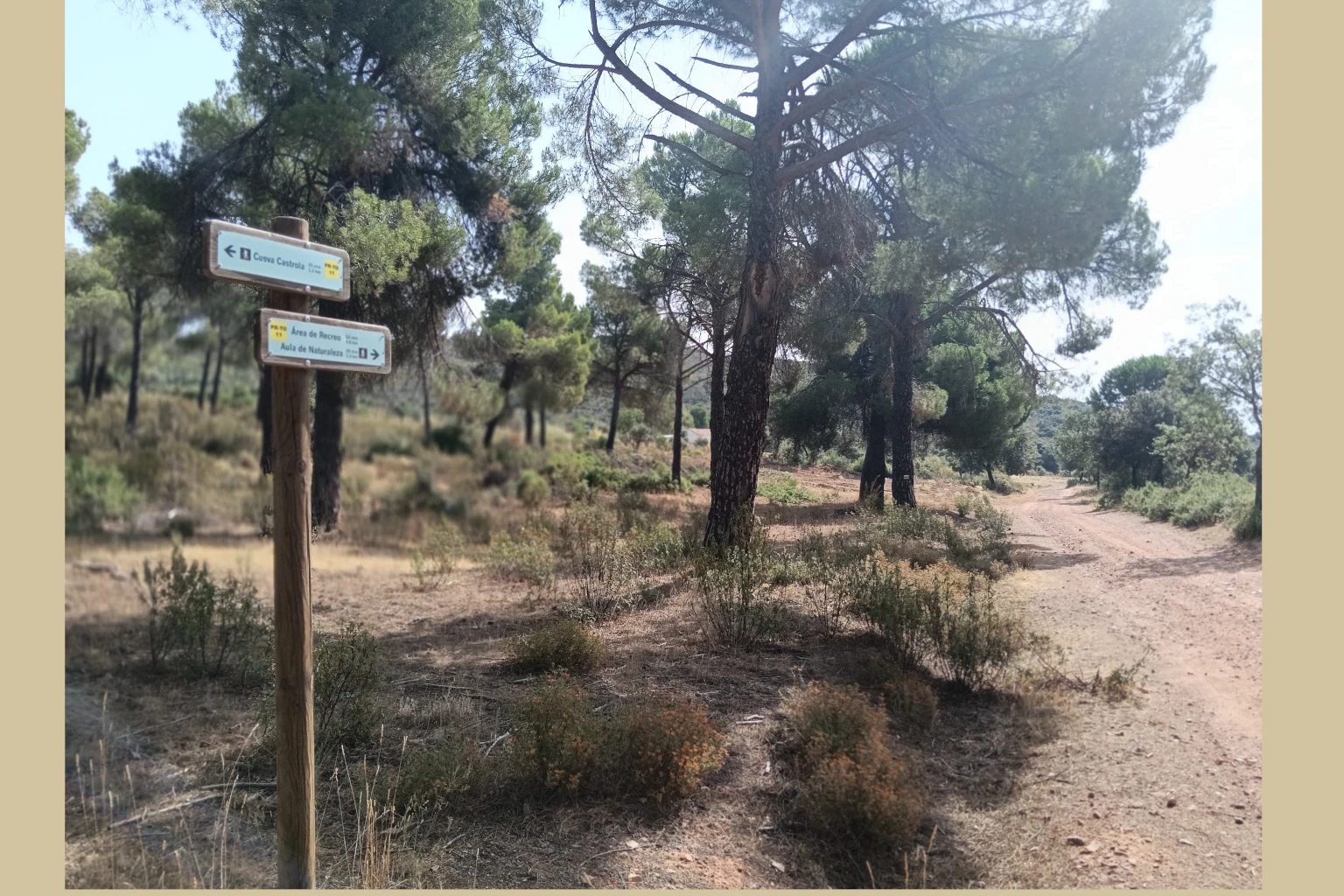 El Vasto Madridejos