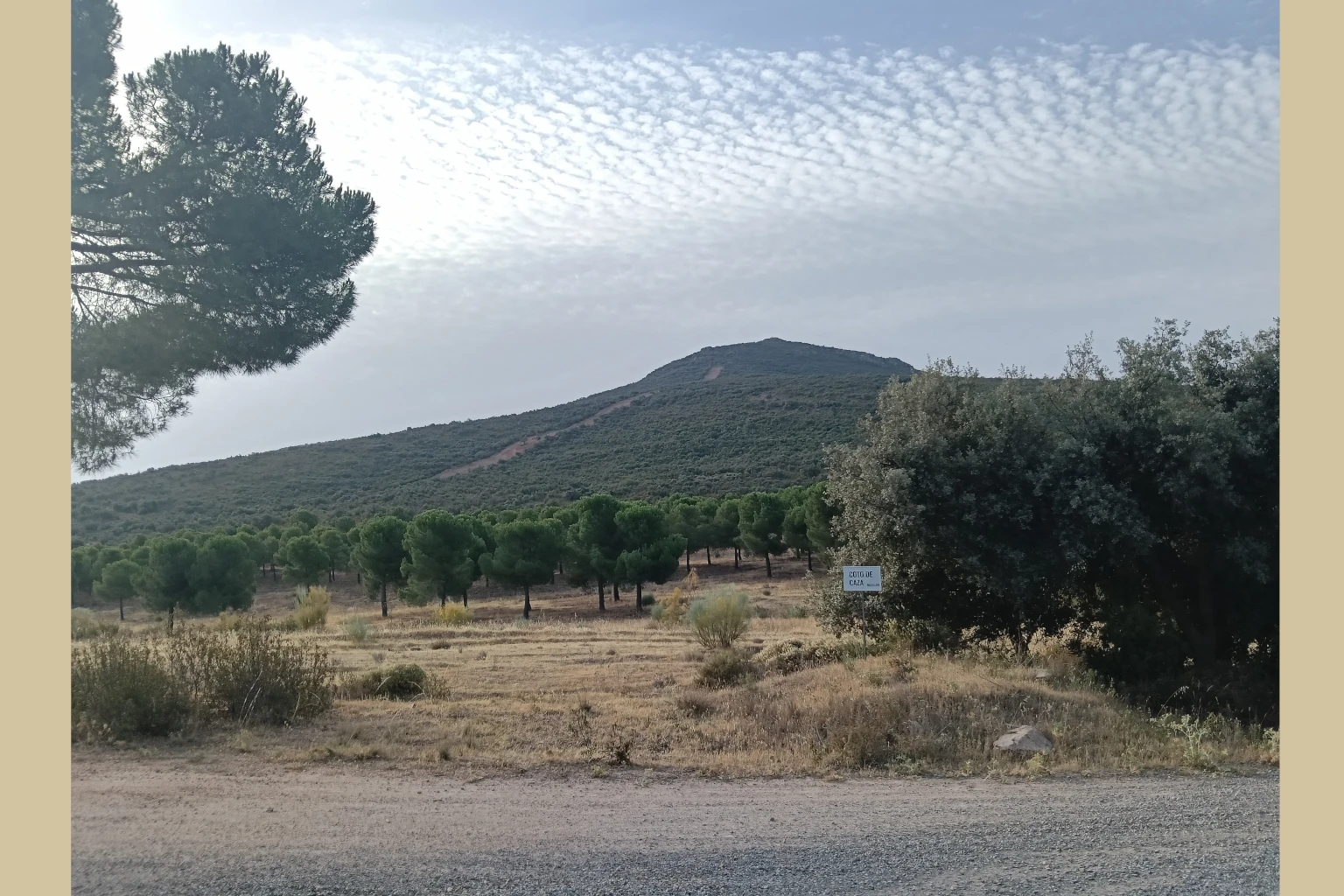 El Vasto Madridejos