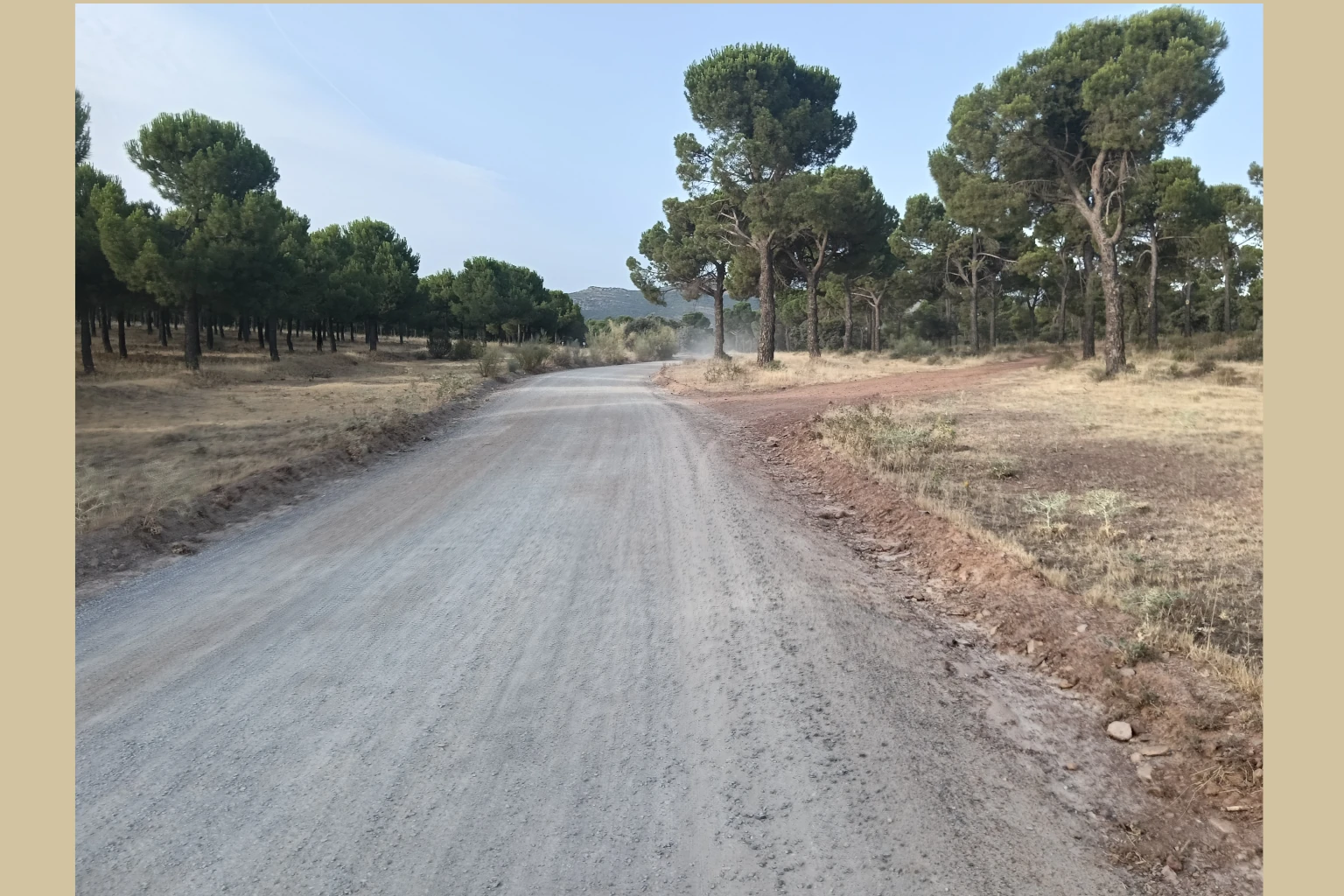 El Vasto Madridejos
