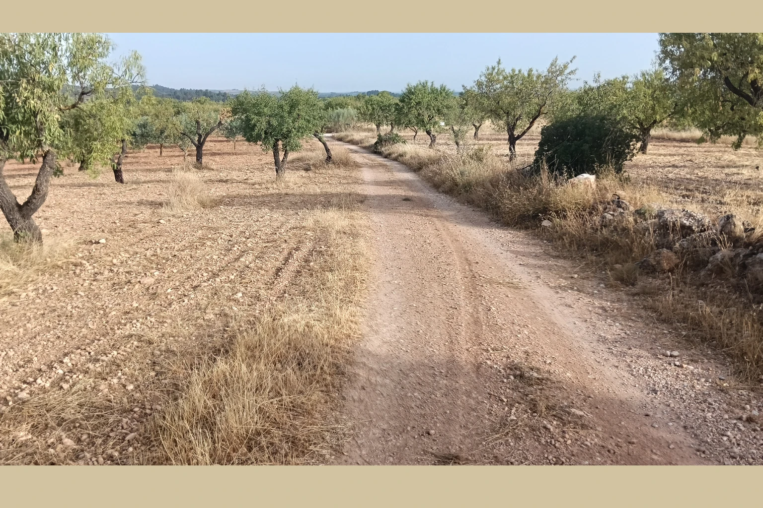 Calderones y Rambla Salá