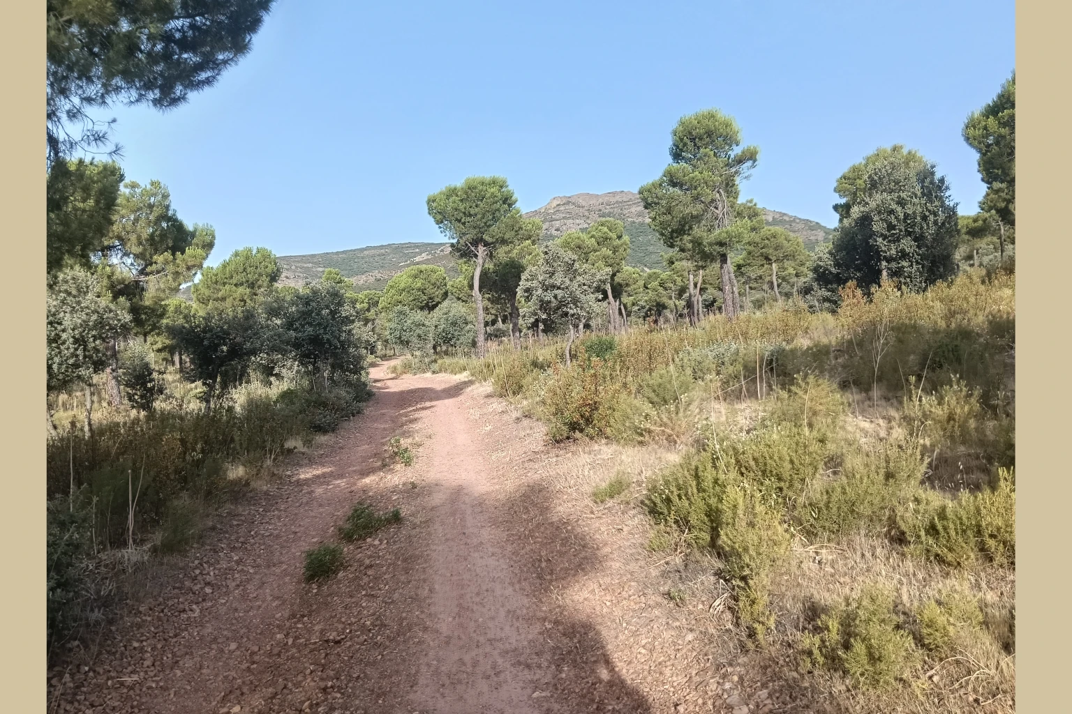 El Vasto Madridejos