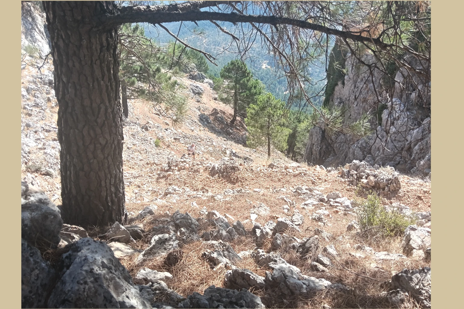 Subida a la piedra