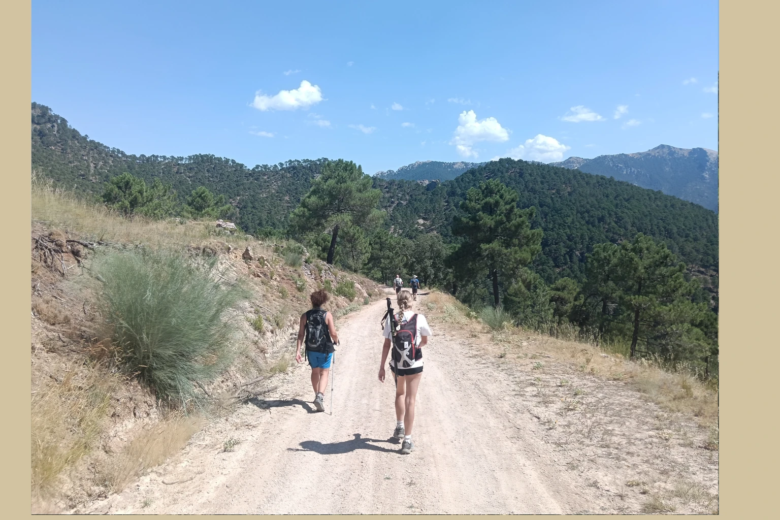 Volviendo