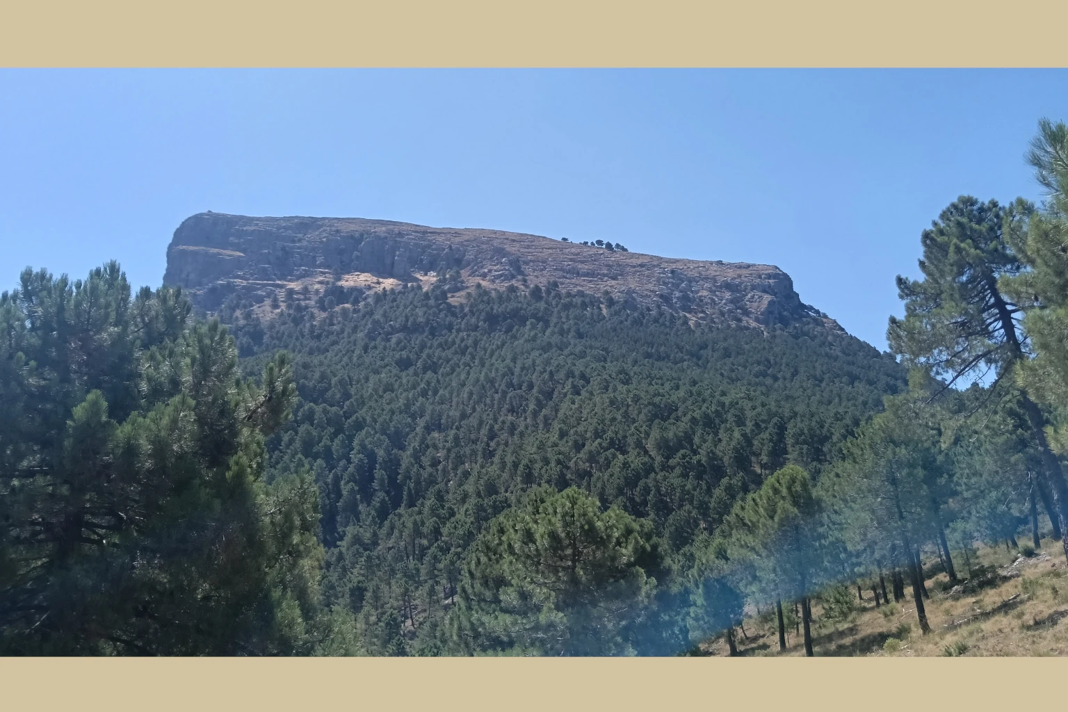 Piedra del Cambrón