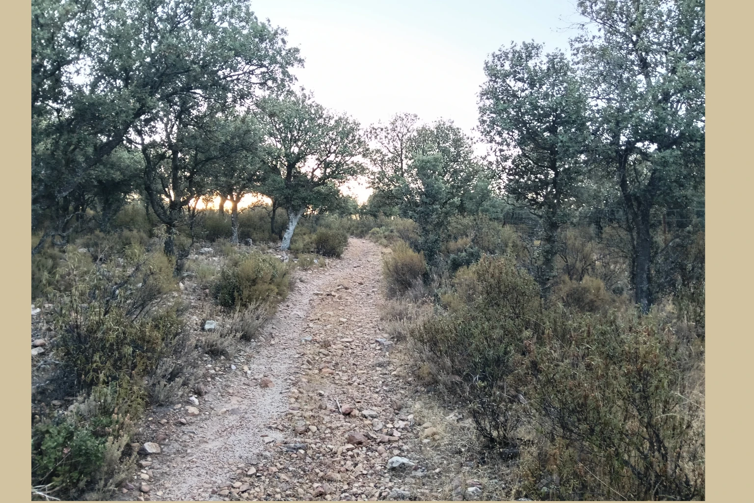 Pico del Amor - Techo de Ciudad Real