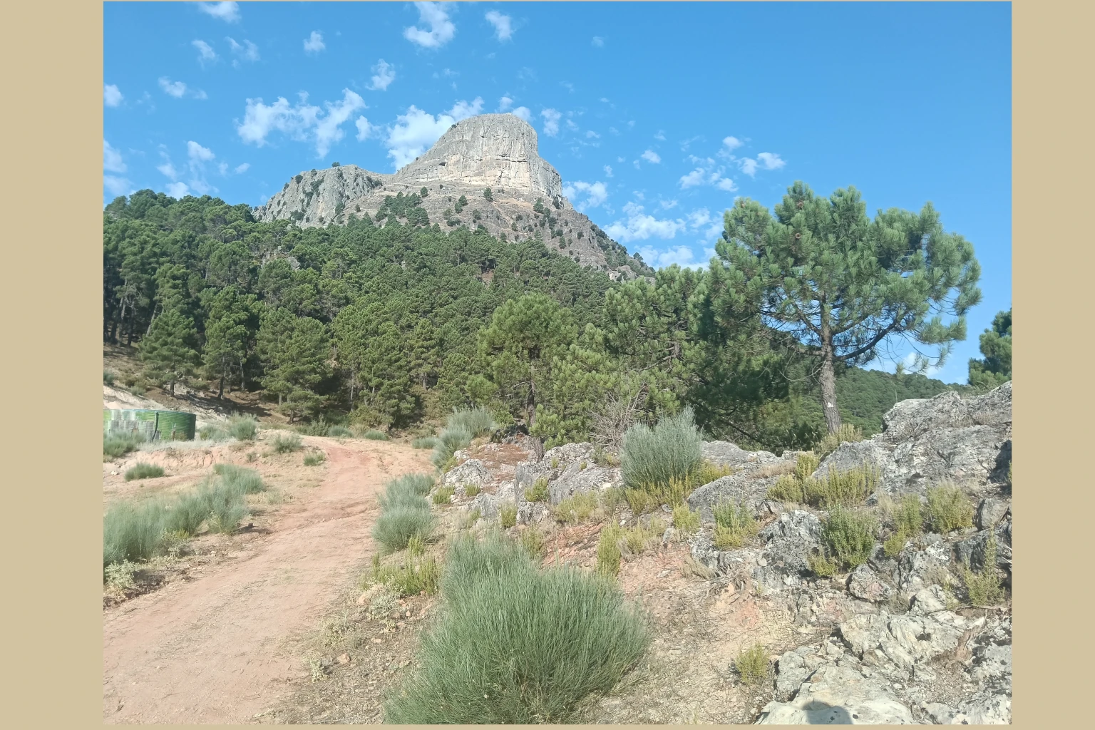 Piedra del Cambrón