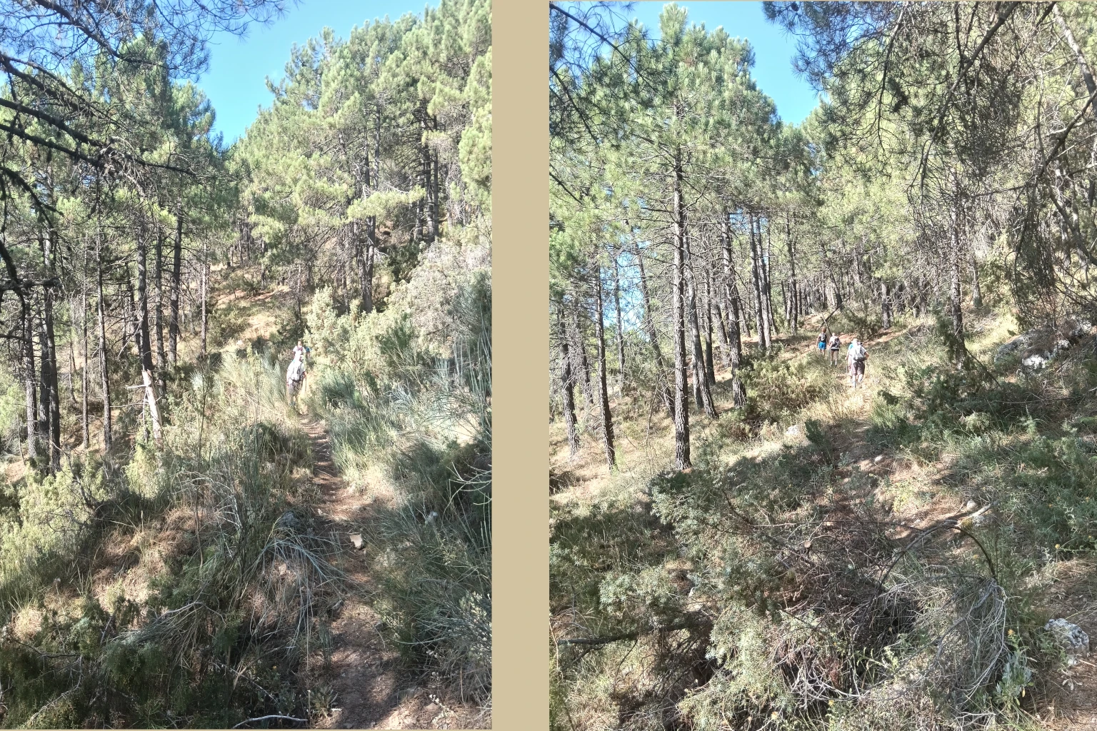 Sendero