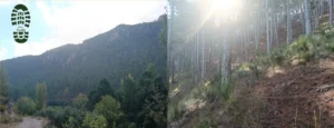 Batán del Puerto - Pajonar