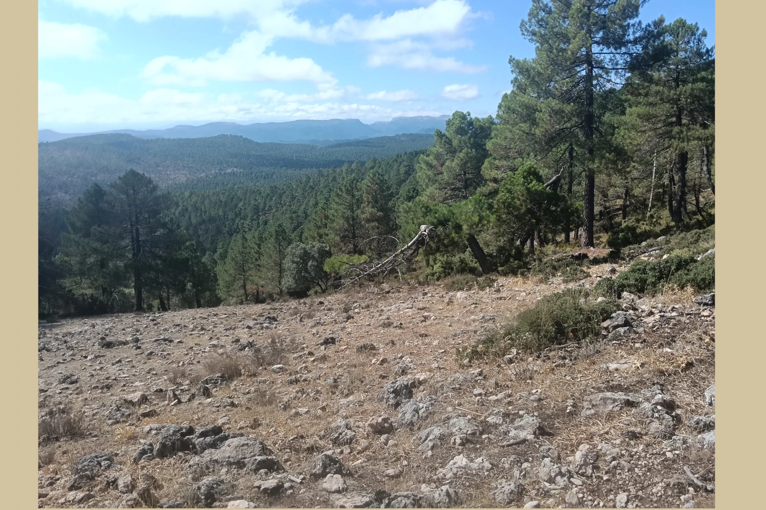 Batán del Puerto - Pajonar