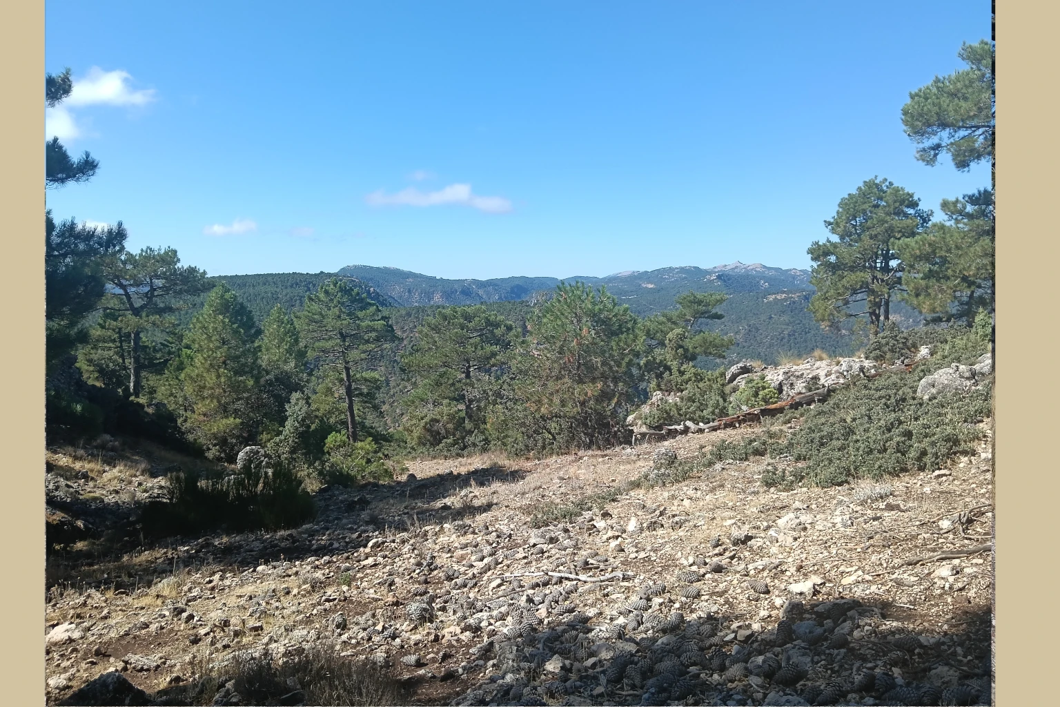 Batán del Puerto - Pajonar