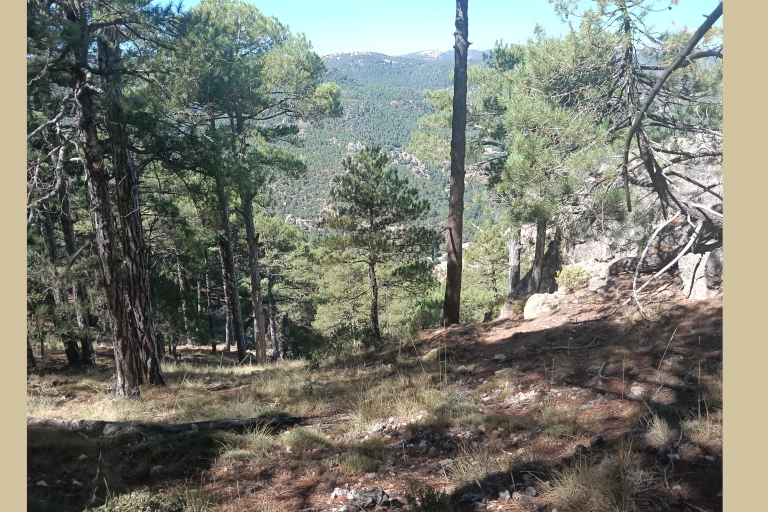 Batán del Puerto - Pajonar