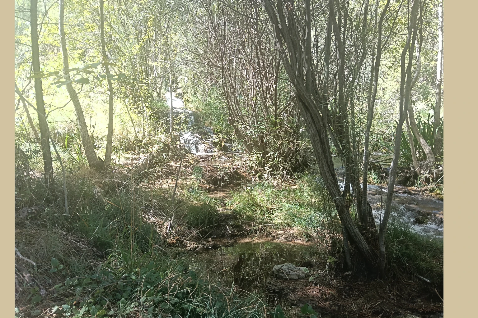 Batán del Puerto - Pajonar