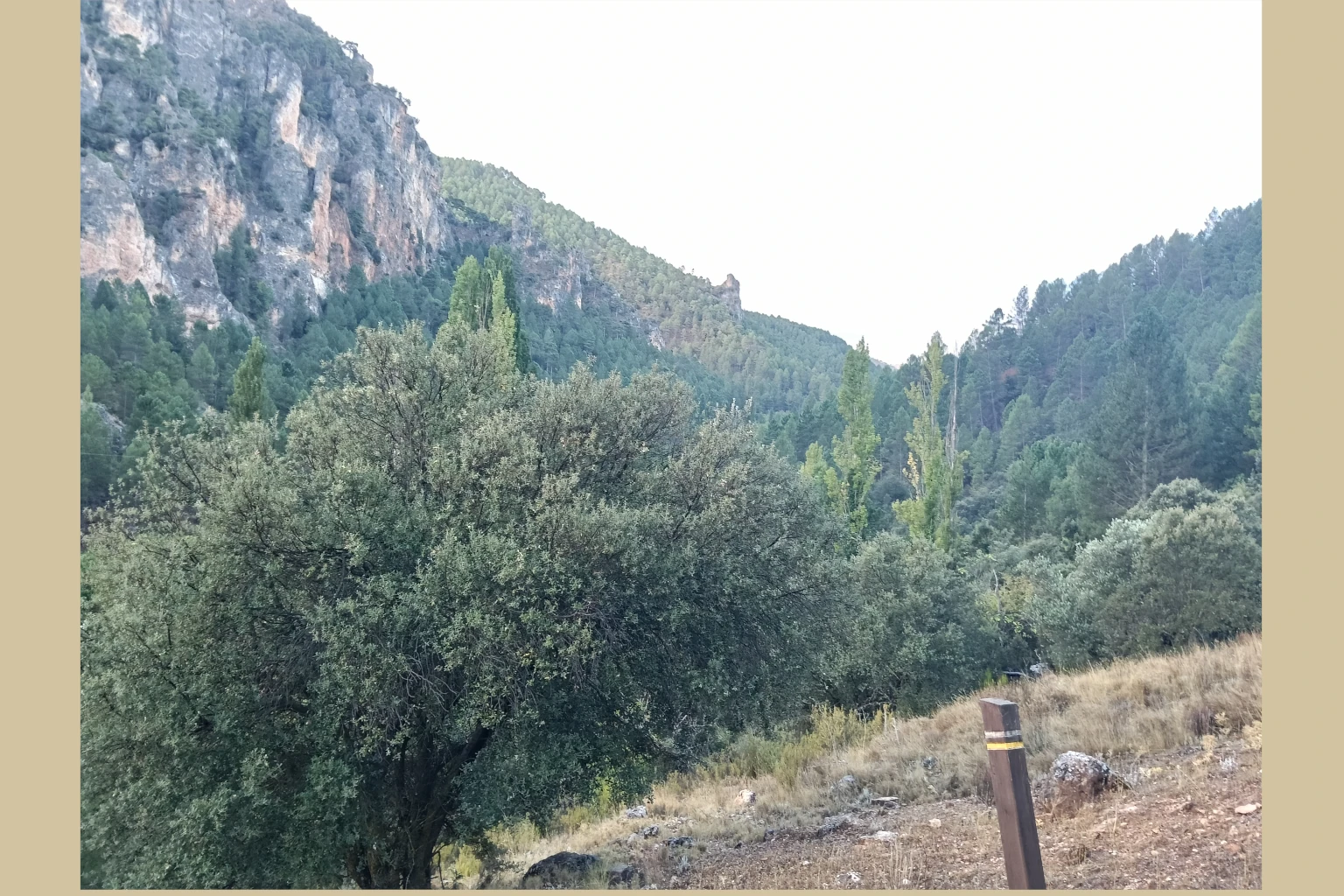 Batán del Puerto - Pajonar