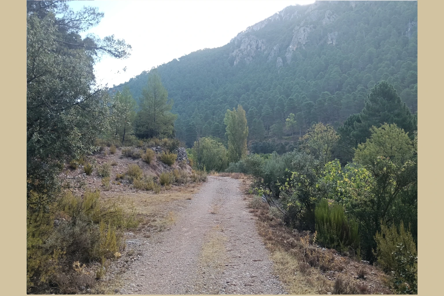 Batán del Puerto - Pajonar