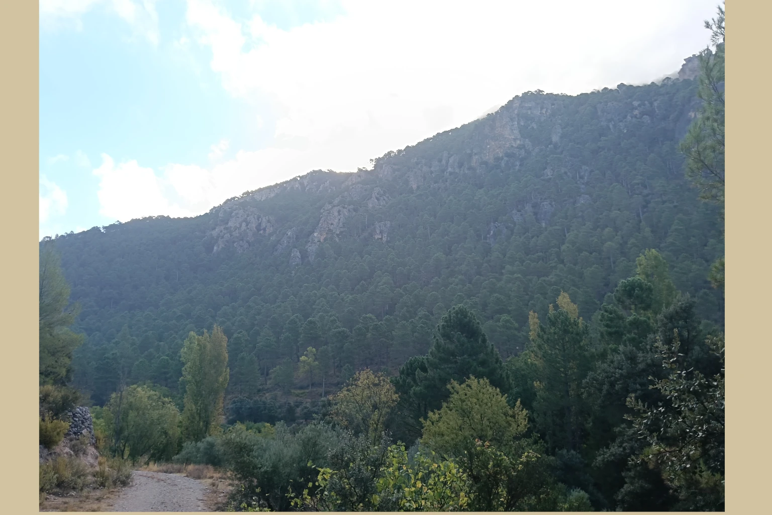Batán del Puerto - Pajonar