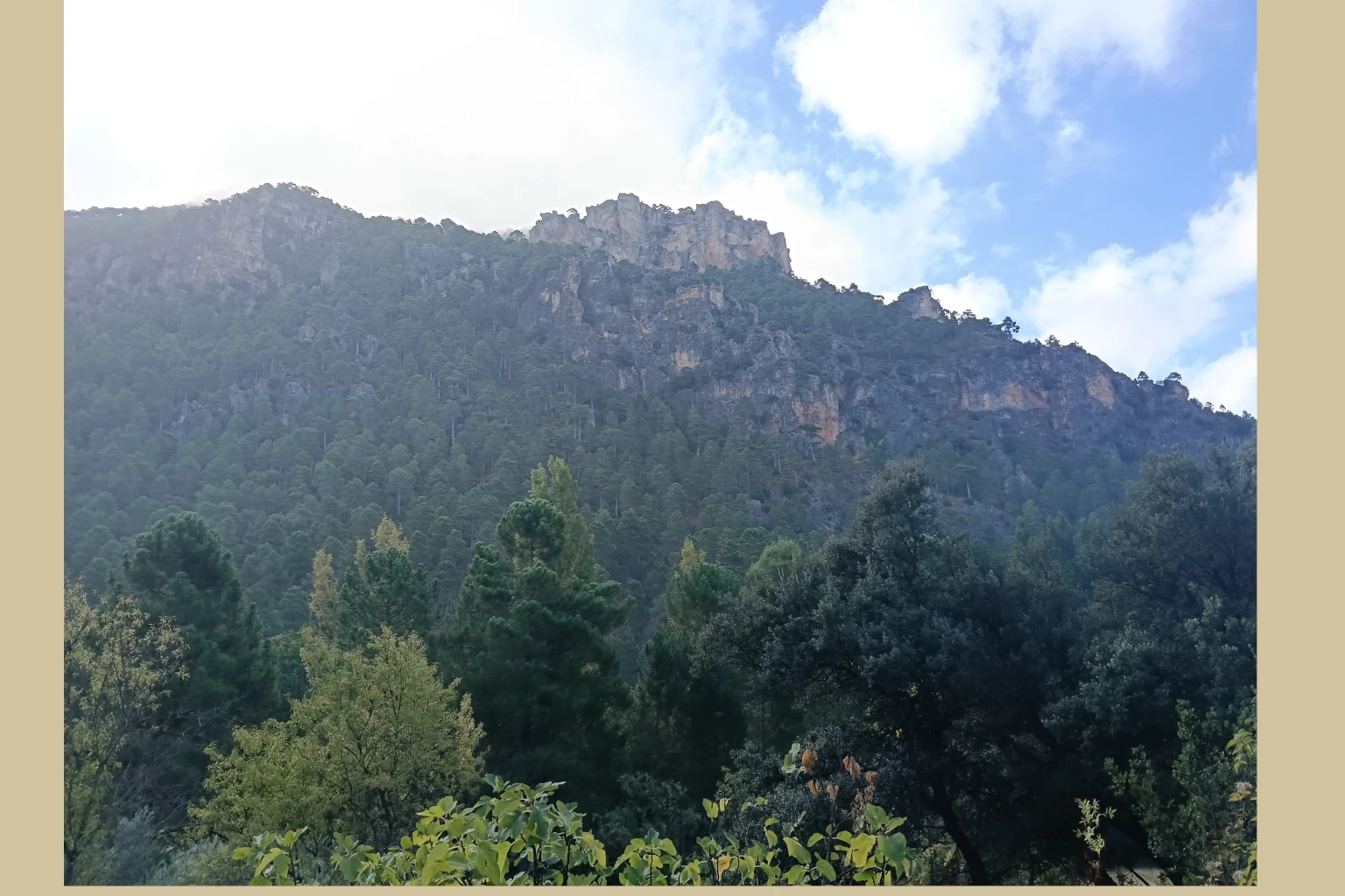 Batán del Puerto - Pajonar