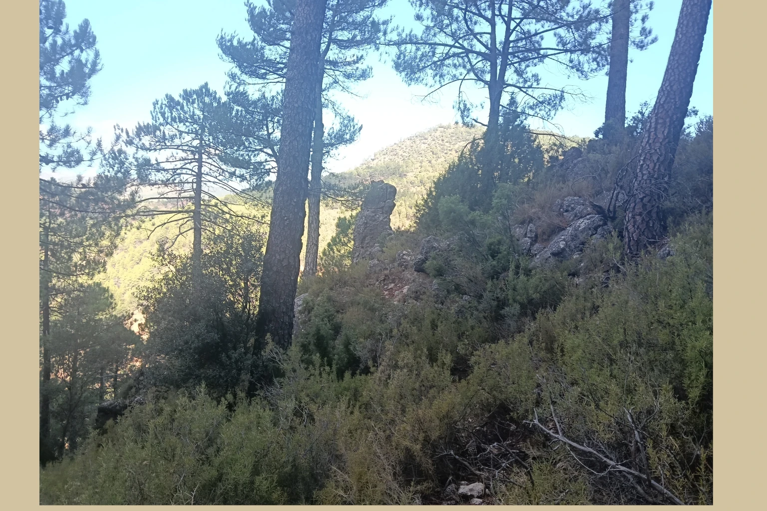 Batán del Puerto - Pajonar