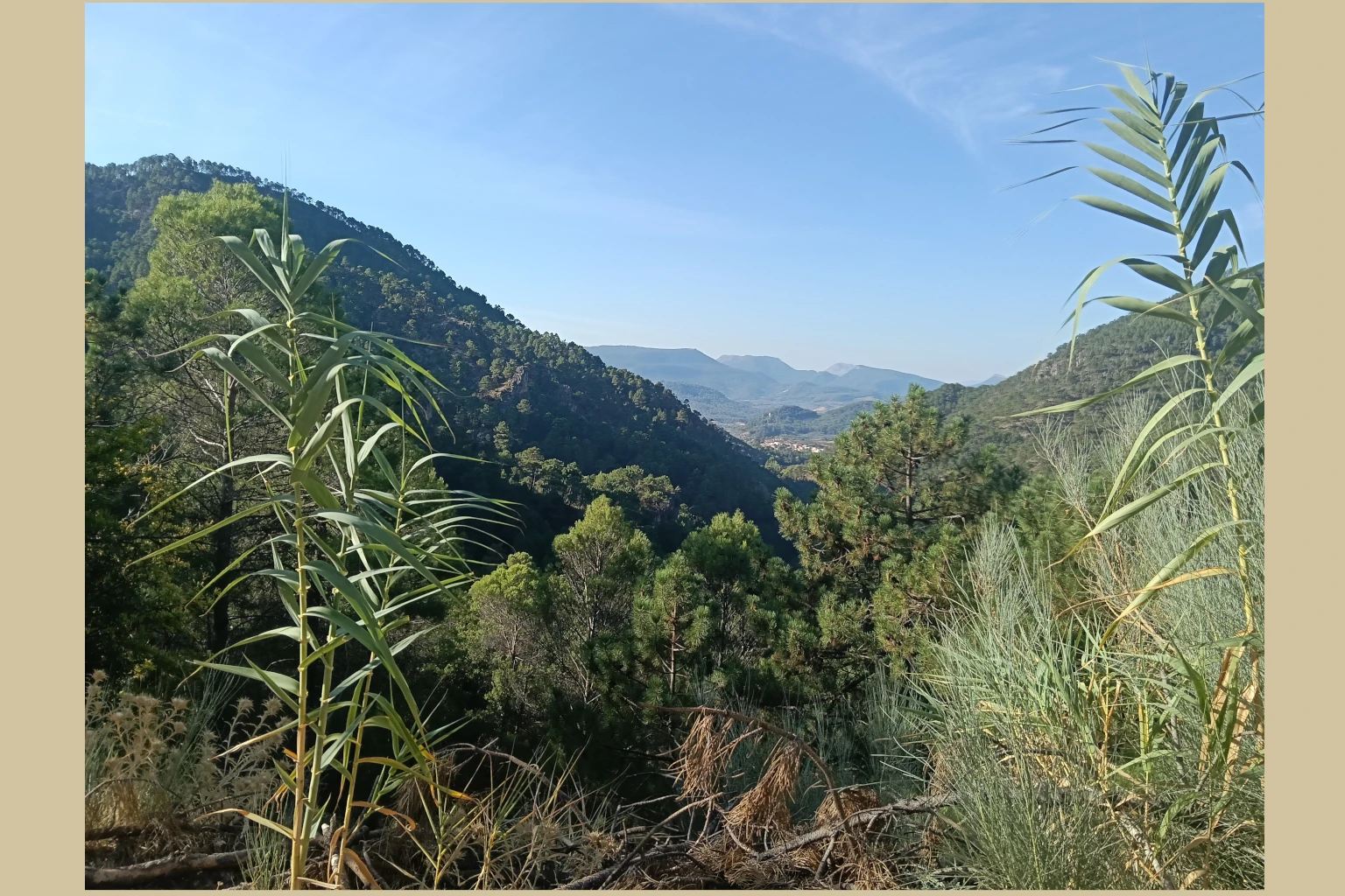 Los Picarazos - Villaverde del Guadalimar