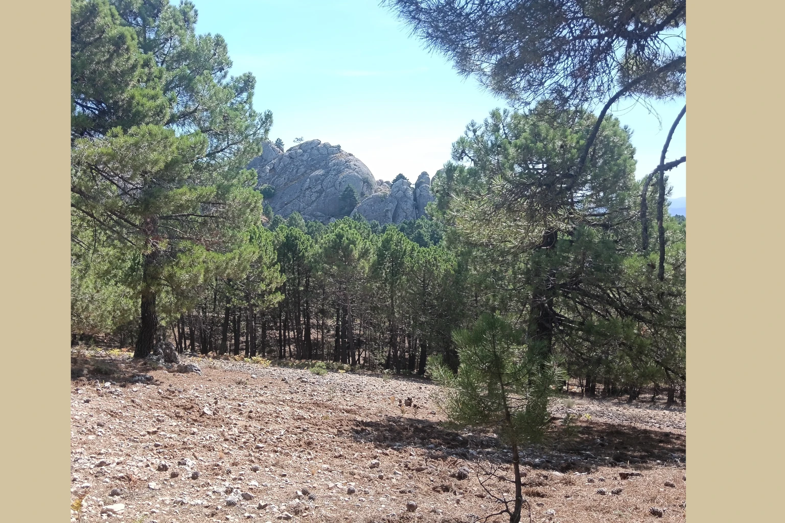 Los Picarazos - Villaverde del Guadalimar