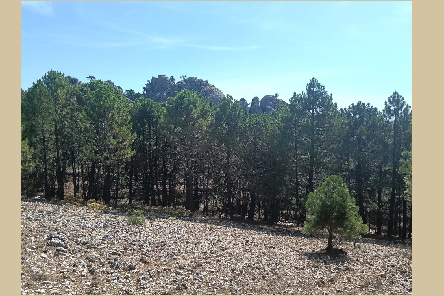 Los Picarazos - Villaverde del Guadalimar