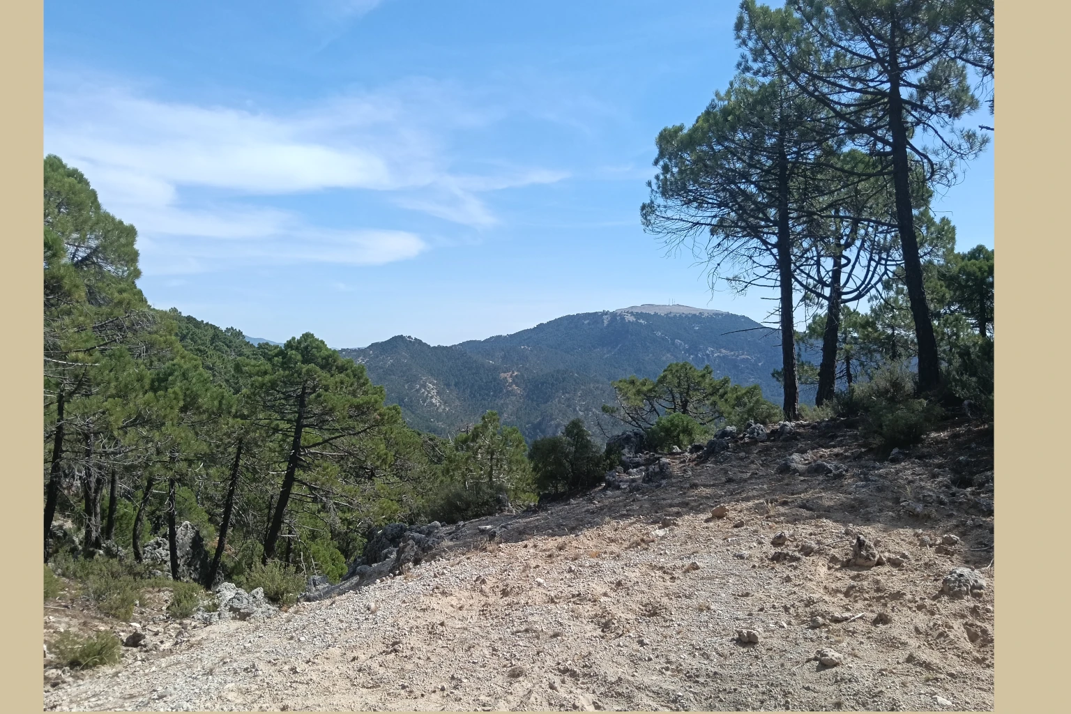 Los Picarazos - Villaverde del Guadalimar
