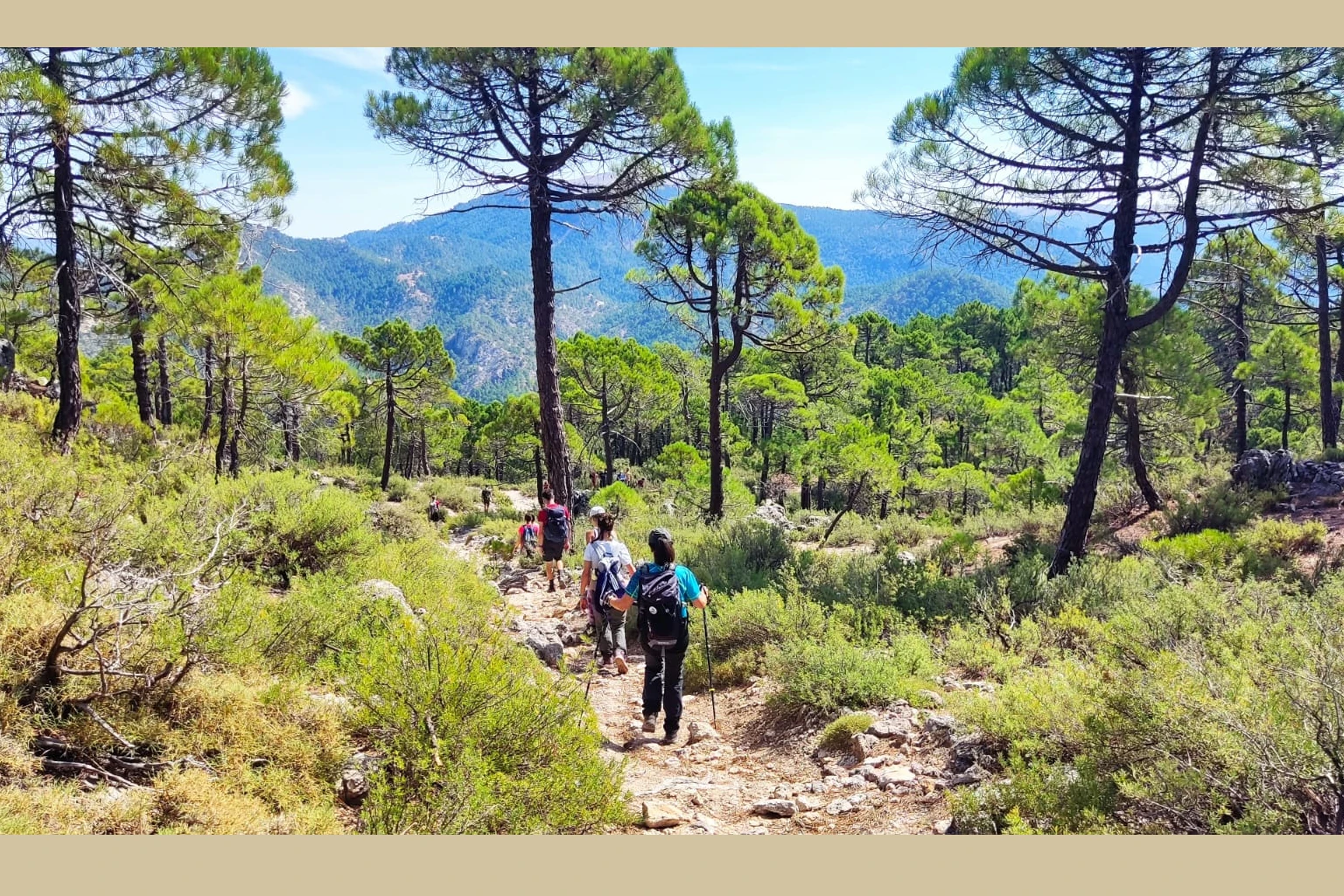 Los Picarazos - Villaverde del Guadalimar
