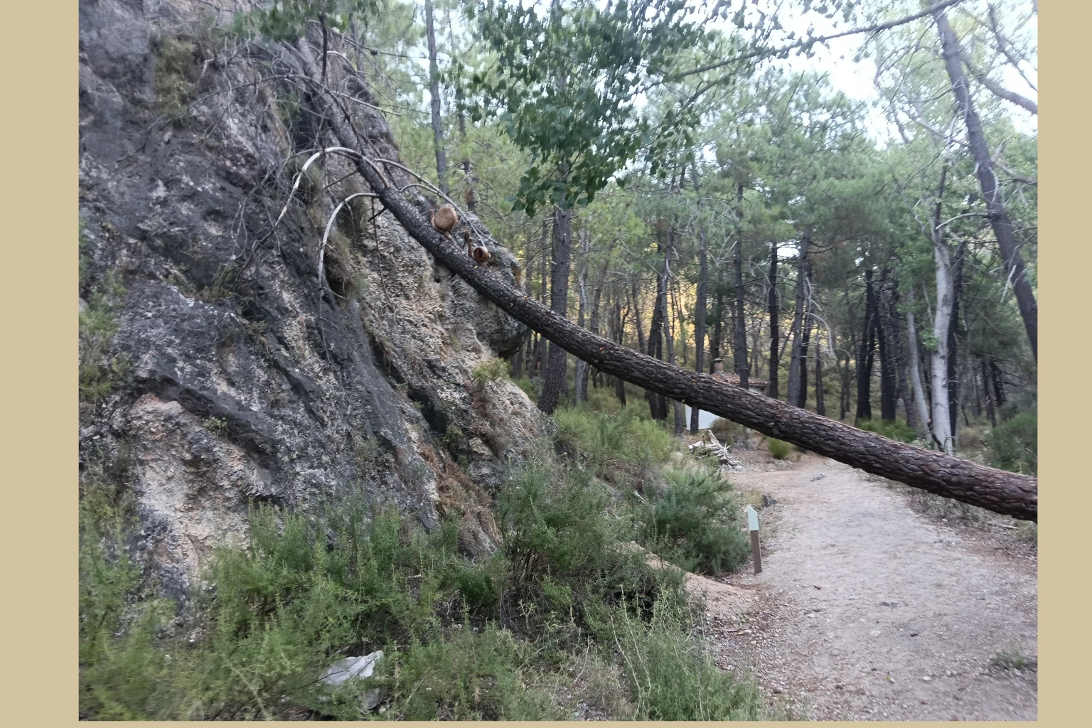 Los Picarazos - Villaverde del Guadalimar