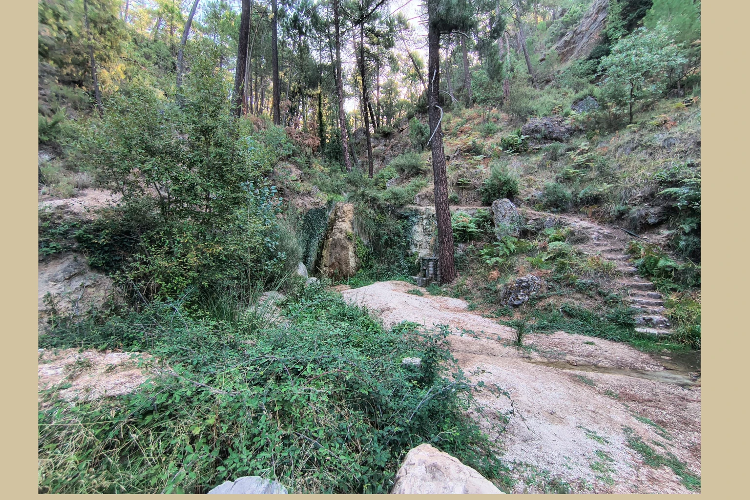 Los Picarazos - Villaverde del Guadalimar